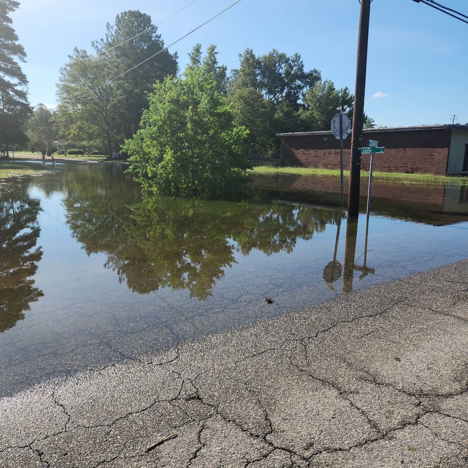 Cleaning Up after Idalia - 3