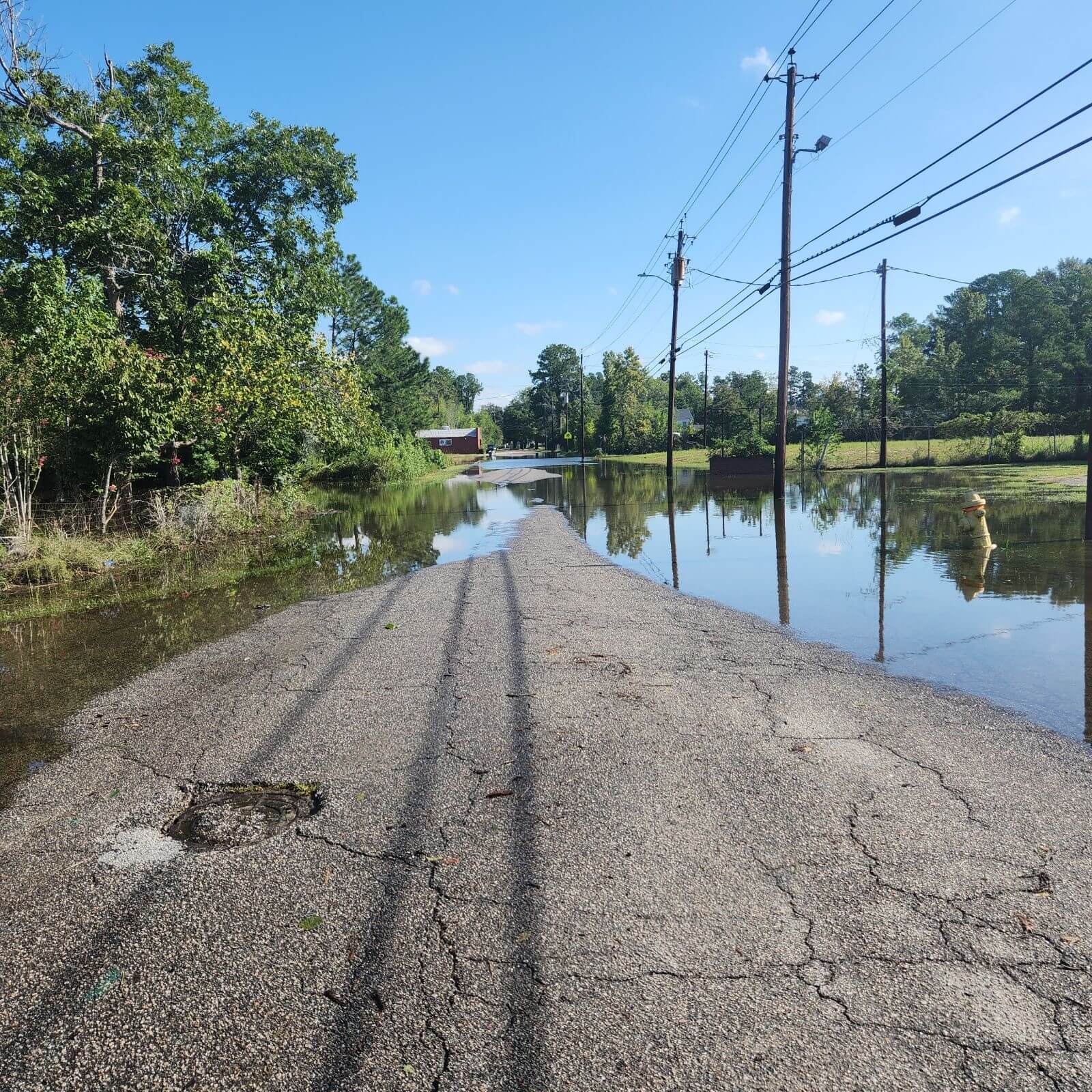 Cleaning Up after Idalia - 2